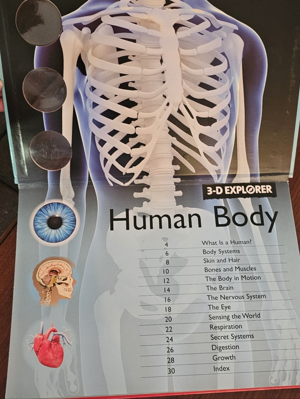 3-D Explorer Human Body Book - Picture 3 of 5